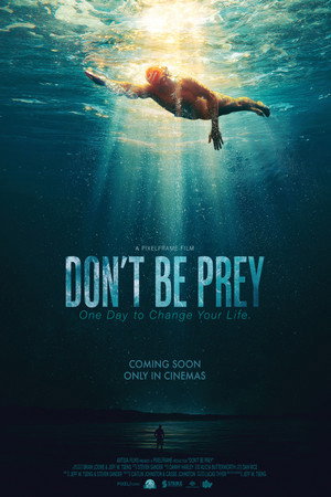 Don't Be Prey poster