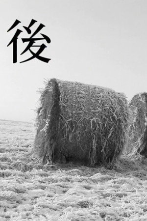 After poster