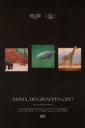 Amma, Do Giraffes Cry? poster