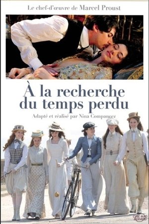 In-Search-of-Lost-Time-(2011)