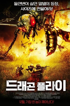 드래곤 플라이