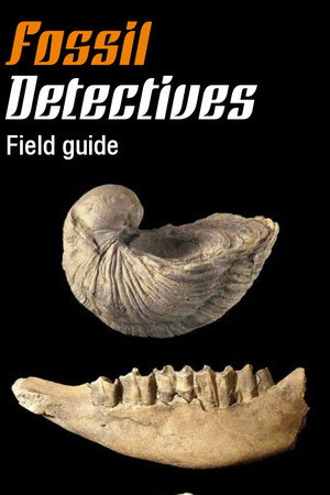 Fossil Detectives