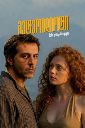 მეტეოიდიოტი