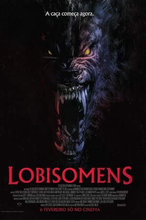Imagem A Noite dos Lobisomens