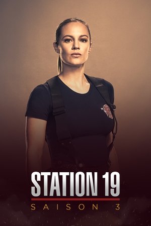 Grey's Anatomy : Station 19