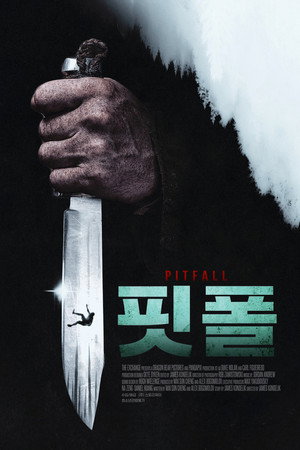핏폴