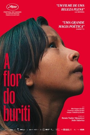 Imagem A Flor do Buriti