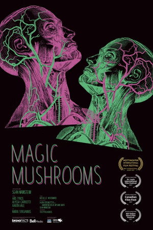 Magic Mushrooms poster