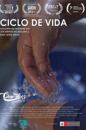 Ciclo de Vida