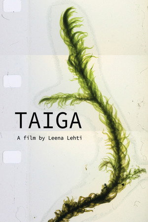 Taiga poster