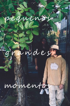 pequenos grandes momentos