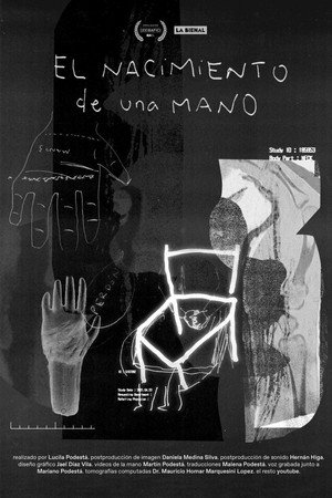 El nacimiento de una mano poster