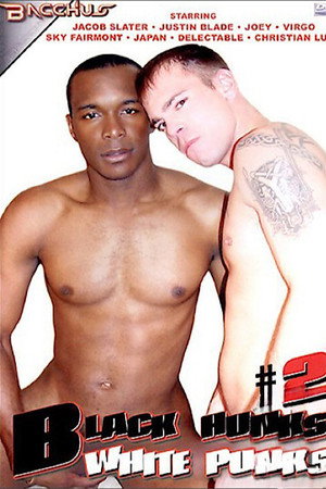 Black Hunks, White Punks 2