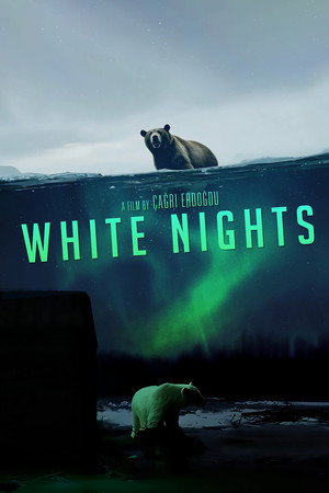 White Nights poster