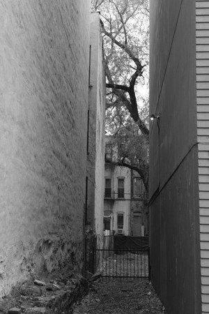 Brooklyn Interlude Brooklyn Interlude