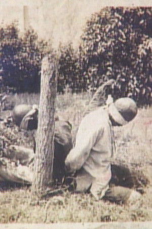 Blood Testament of Nanjing