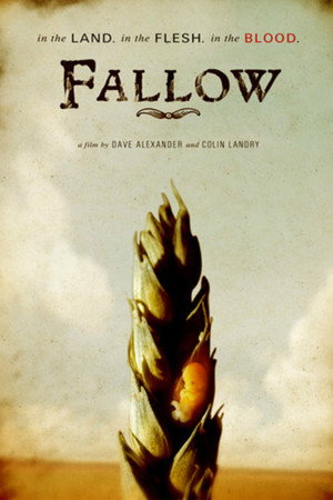 Fallow poster
