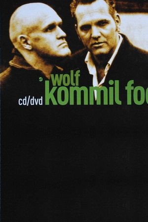 Kommil Foo: Wolf