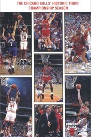 Three-Peat - The Chicago Bulls' Historic Third Championship