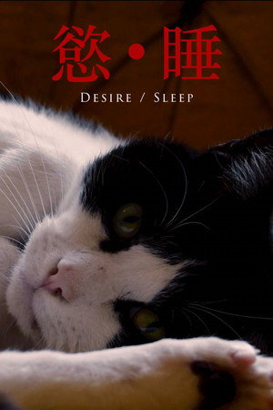 Desire/Sleep poster
