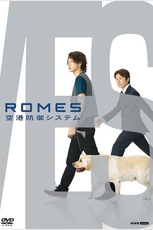 ＲＯＭＥＳ 空港防御システム