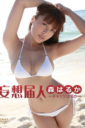 妄想届人～キャッツはるか～