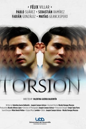 Torsión