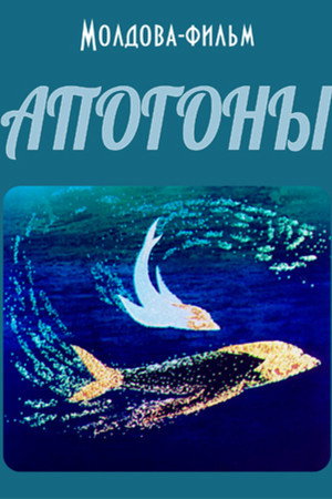 Cardinal Fish poster