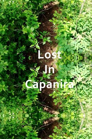 image: Lost In Capanira