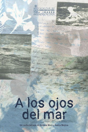 A los ojos del mar poster