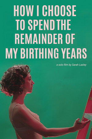How I Choose to Spend the Remainder of my Birthing Years poster