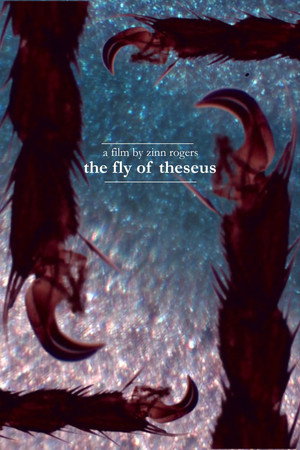 The Fly of Theseus
