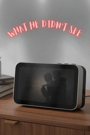 What He Didn't See poster