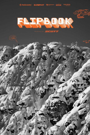 Flipbook poster