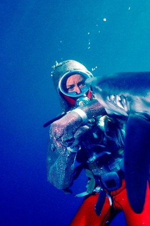 Jugando con tiburones