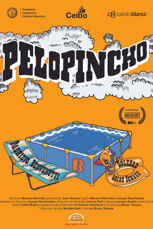 Pelopincho poster