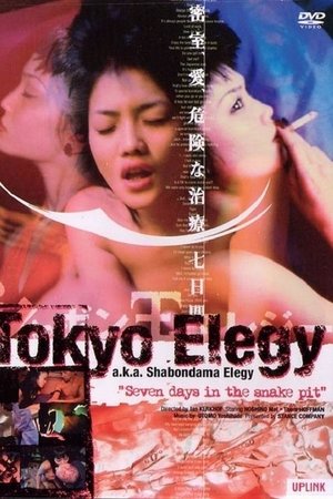 Tokyo Elegy