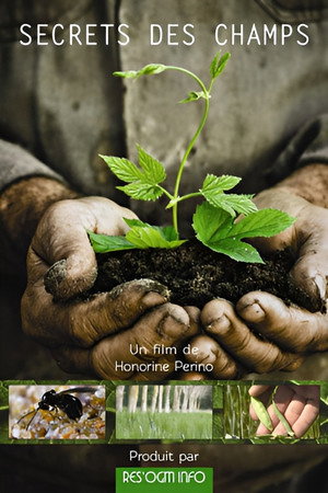Secrets des champs poster