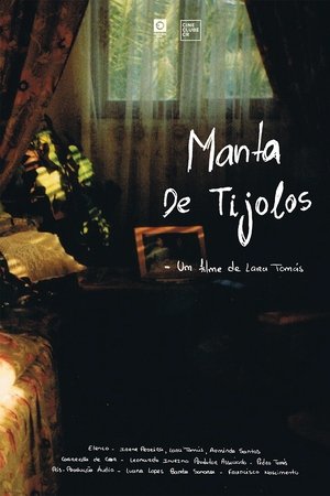 Manta De Tijolos