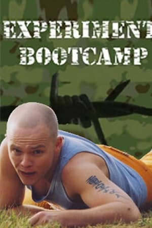 Experiment Bootcamp