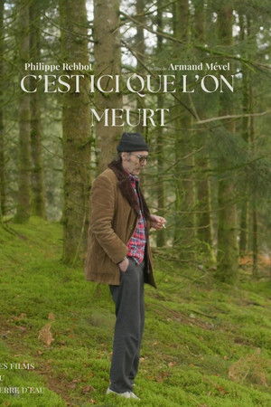 C'est ici que l'on meurt