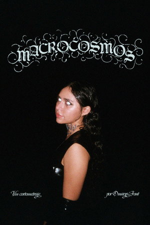 Macrocosm poster