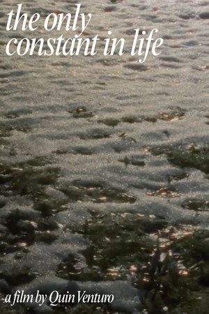 The Only Constant In Life poster