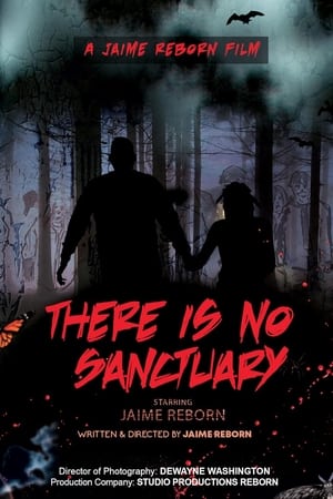 There Is No Sanctuary