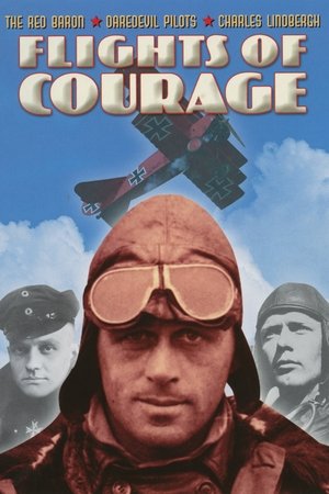 Poster of Flights of Courage