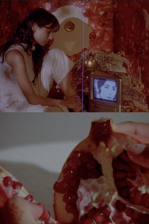 what does it feel like to live inside a pomegranate? poster
