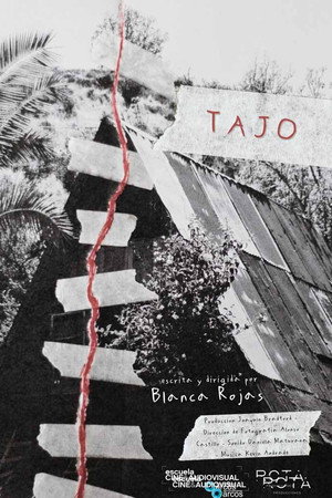 Tajo poster