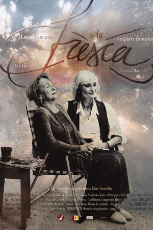 A la fresca poster
