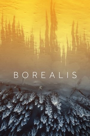 Borealis Borealis