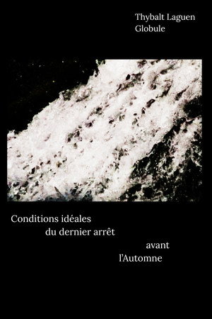 Conditions idéales du dernier arrêt avant l'Automne
